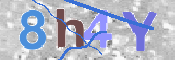 この文字を入力してください