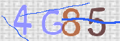 この文字を入力してください