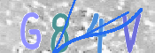 この文字を入力してください