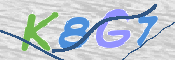 この文字を入力してください