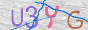 この文字を入力してください