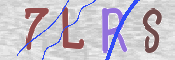 この文字を入力してください