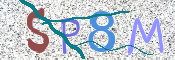 この文字を入力してください