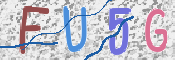 この文字を入力してください