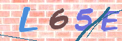 この文字を入力してください