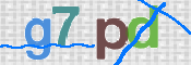 この文字を入力してください