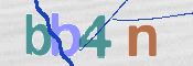 この文字を入力してください