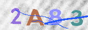 この文字を入力してください