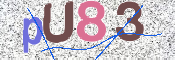 この文字を入力してください