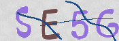 この文字を入力してください