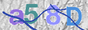 この文字を入力してください