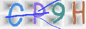 この文字を入力してください