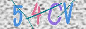 この文字を入力してください