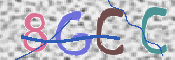 この文字を入力してください