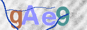 この文字を入力してください