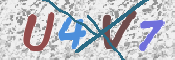この文字を入力してください