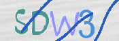 この文字を入力してください