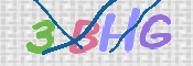 この文字を入力してください