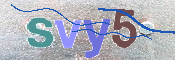 この文字を入力してください