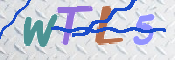 この文字を入力してください
