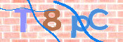 この文字を入力してください