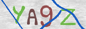 この文字を入力してください