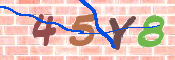 この文字を入力してください