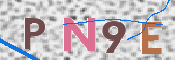 この文字を入力してください