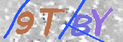 この文字を入力してください