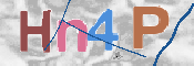 この文字を入力してください