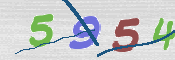 この文字を入力してください
