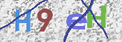 この文字を入力してください
