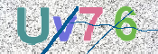 この文字を入力してください