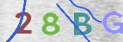 この文字を入力してください