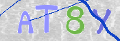 この文字を入力してください