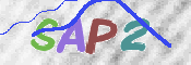 この文字を入力してください