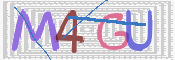 この文字を入力してください