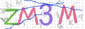 この文字を入力してください