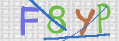 この文字を入力してください