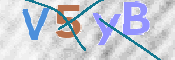 この文字を入力してください