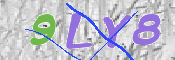 この文字を入力してください