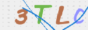 この文字を入力してください