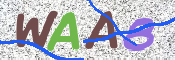 この文字を入力してください