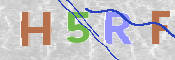 この文字を入力してください