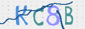 この文字を入力してください