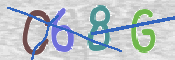 この文字を入力してください