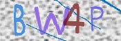 この文字を入力してください