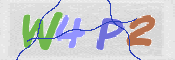 この文字を入力してください