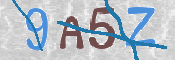 この文字を入力してください