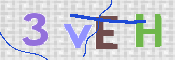 この文字を入力してください